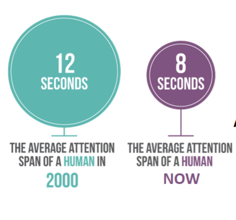 مدة التركيز للإنسان